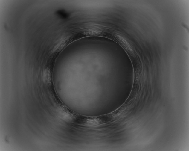 X0000093240457200710031605