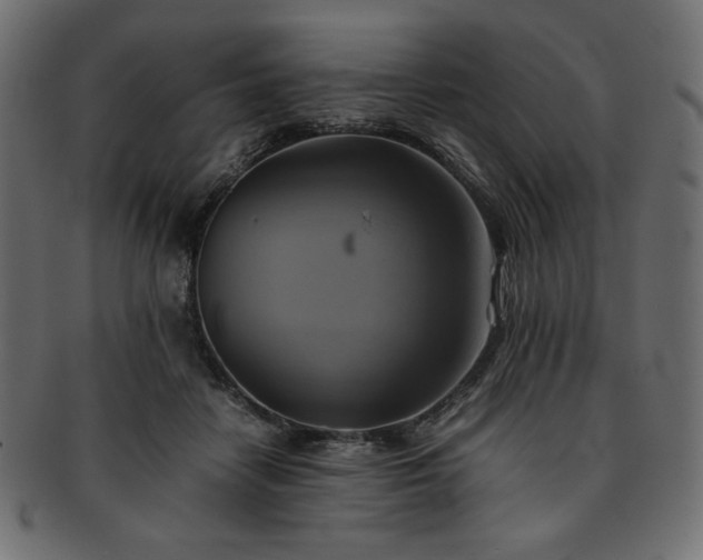 X0000093240458200710031605