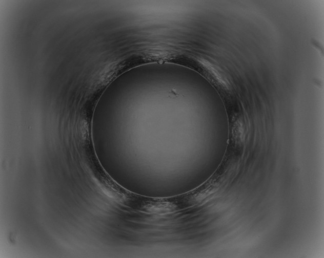 X0000093240459200710031605