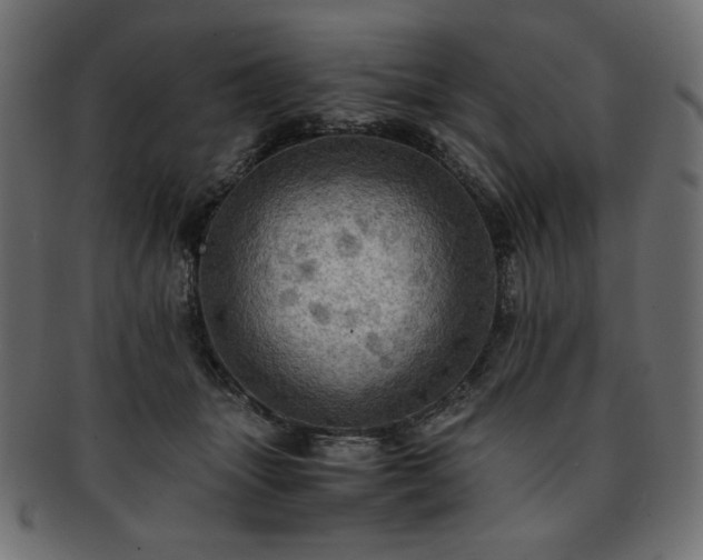X0000093240463200710031605