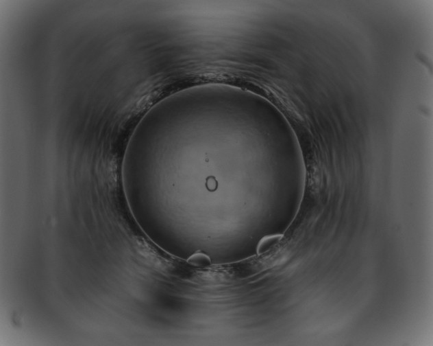 X0000093240466200710031605