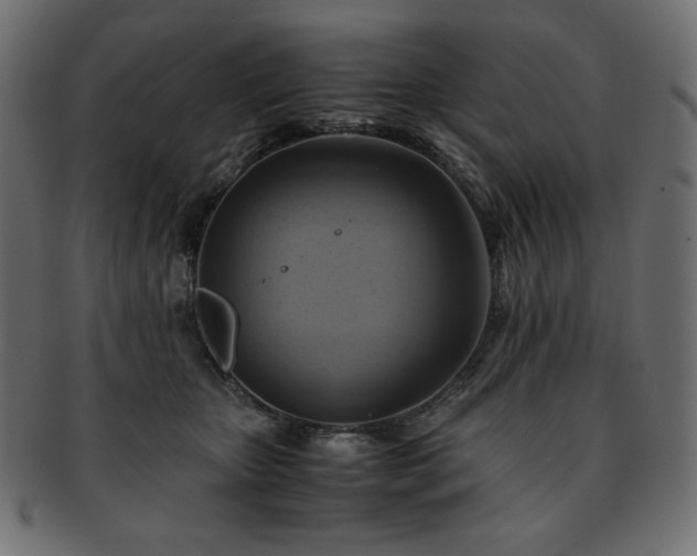 X0000093240467200710031605