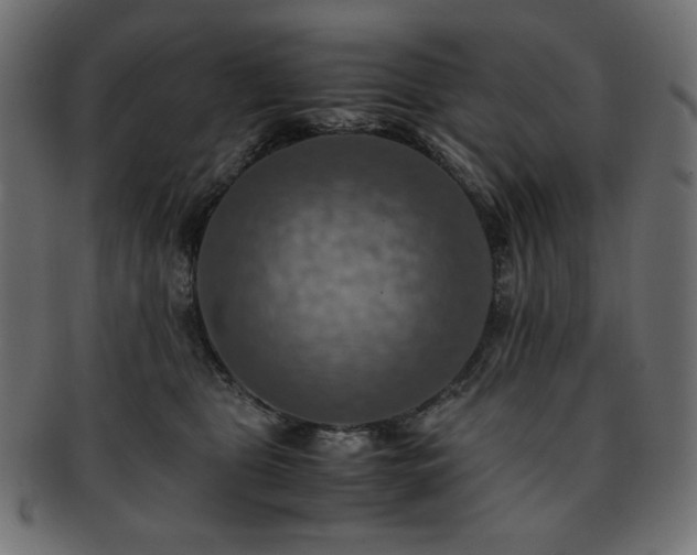 X0000093240469200710031605