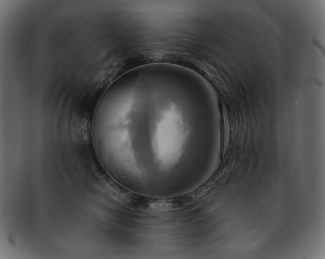 X0000093240470200710031605