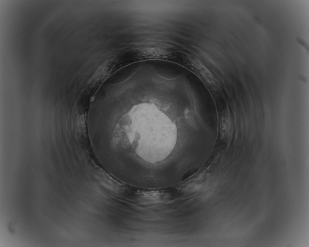 X0000093240473200710031605