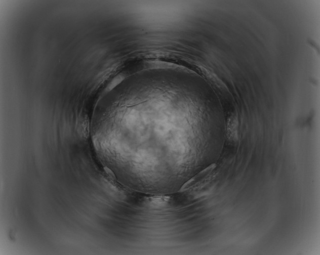 X0000093240474200710031606
