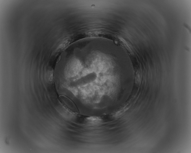 X0000093240477200710031606