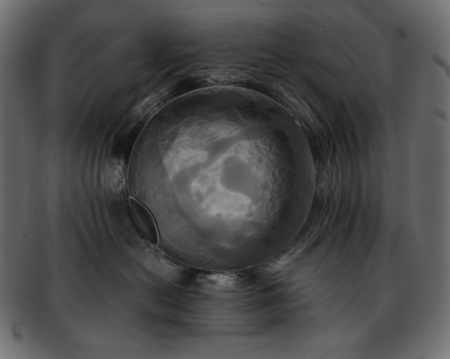 X0000093240478200710031606