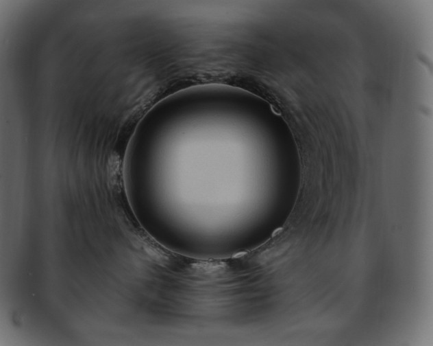 X0000093240480200710031606