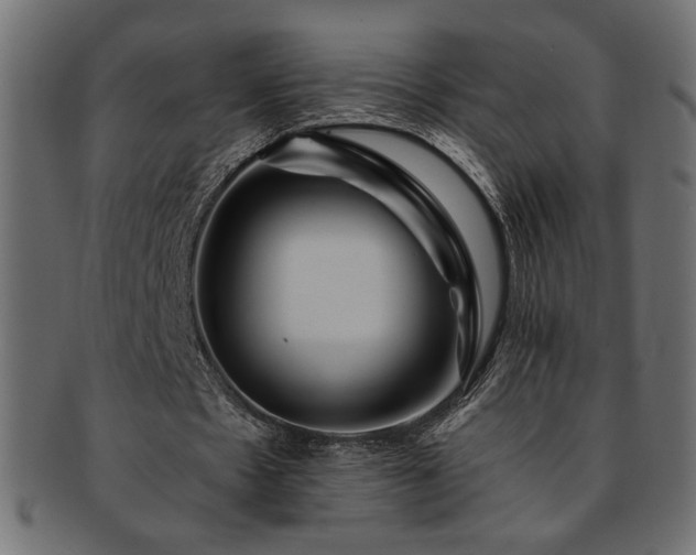 X0000093240481200710031605