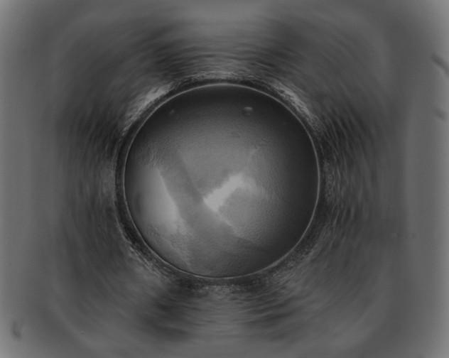 X0000093240482200710031605