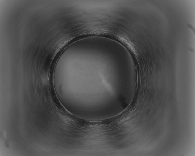 X0000093240483200710031605
