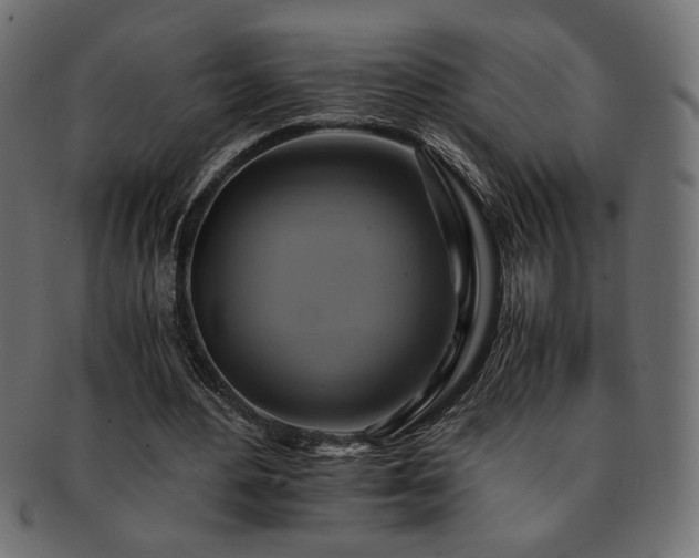 X0000093240484200710031605