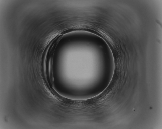 X0000093240485200710031605