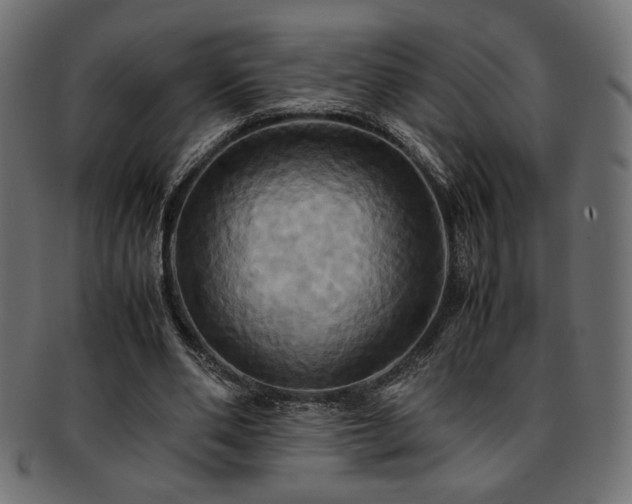 X0000093240486200710031605