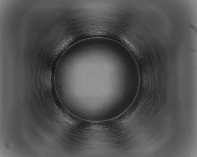X0000093240490200710031605