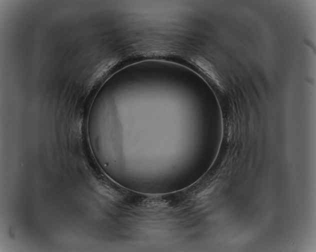 X0000093240491200710031605