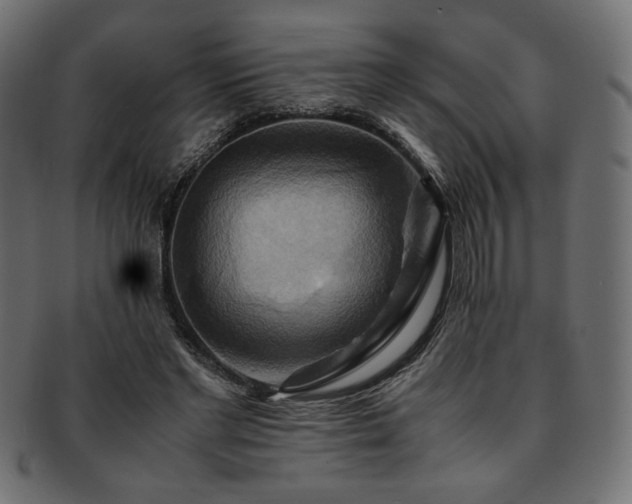 X0000093240493200710031605