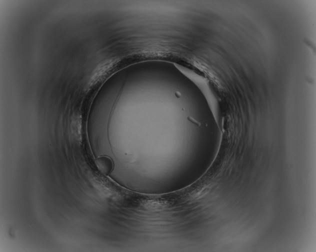 X0000093240494200710031605
