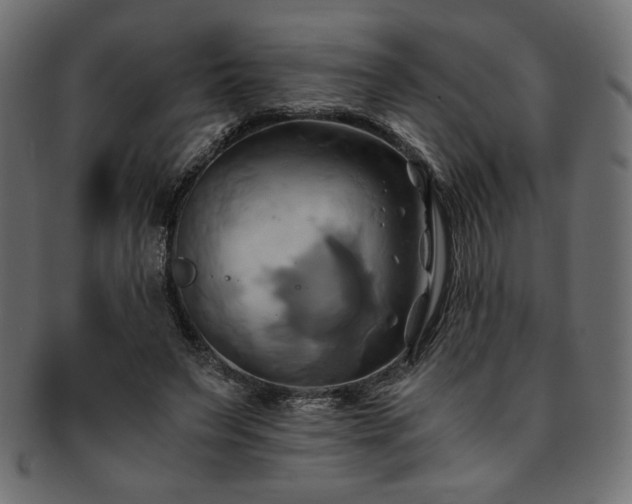 X0000093240495200710031605