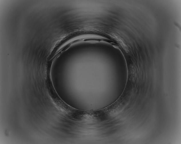 X0000093240496200710031605