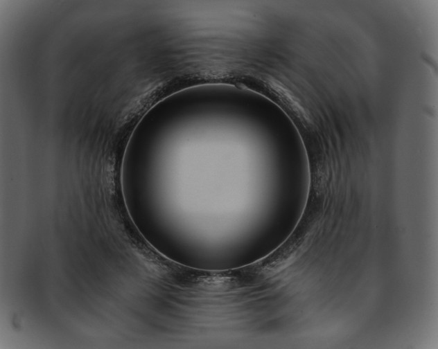 X0000093240497200710031605