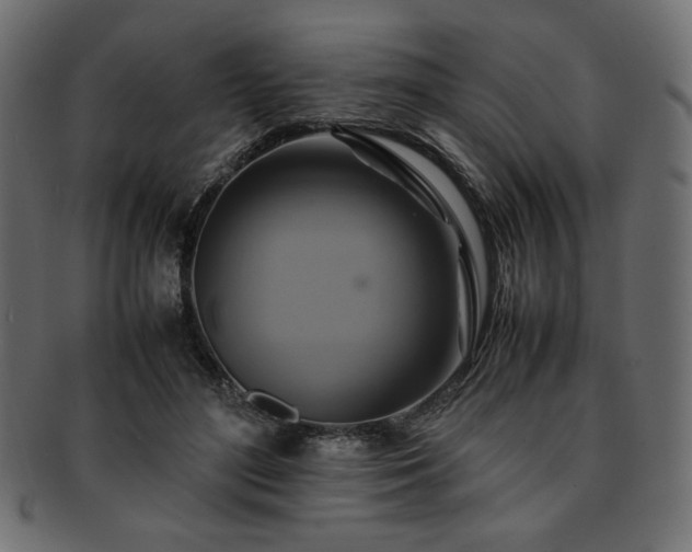 X0000093240500200710031605