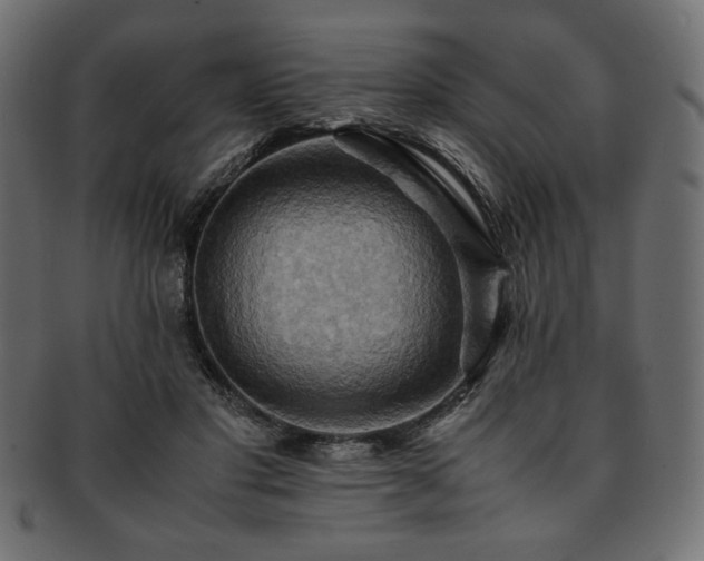 X0000093240501200710031605