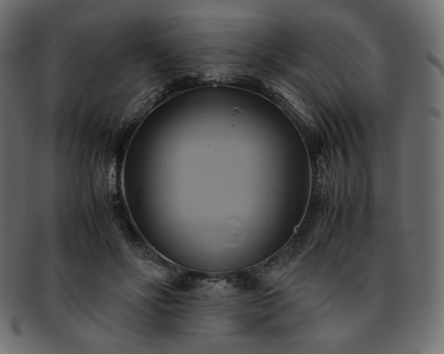 X0000093240502200710031605