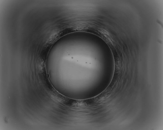 X0000093240503200710031605