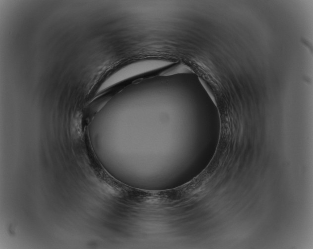 X0000093240504200710031605