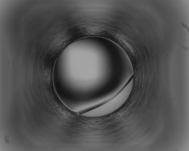 X0000093240505200710031605