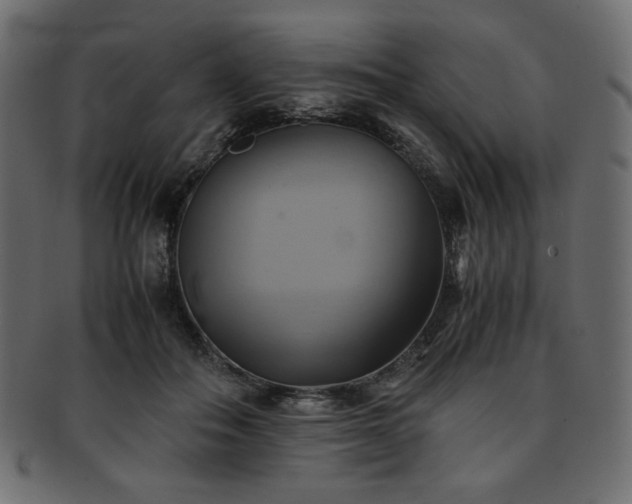 X0000093240506200710031605
