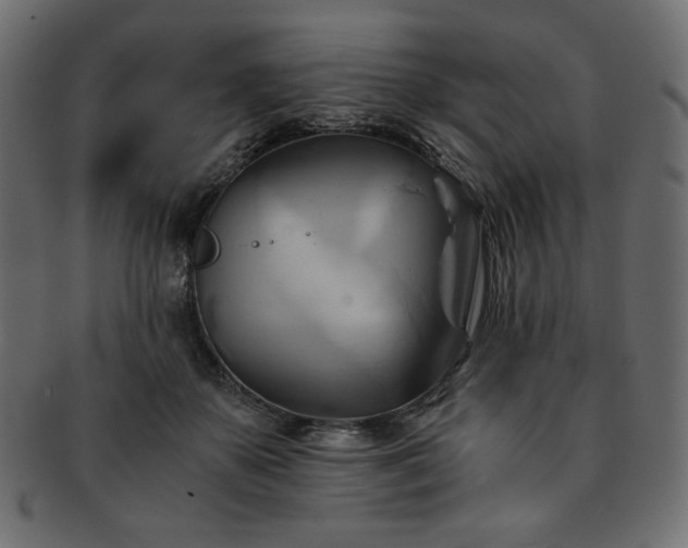 X0000093240507200710031605