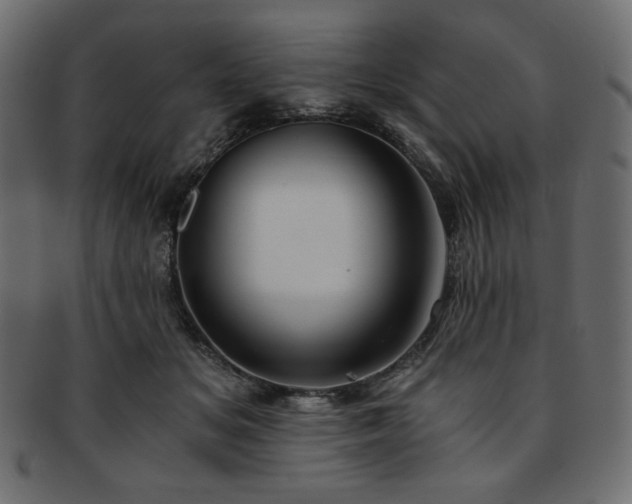 X0000093240509200710031605