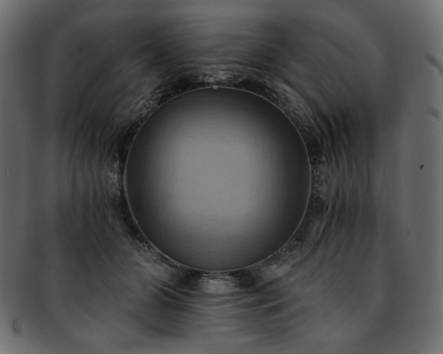 X0000093240510200710031605