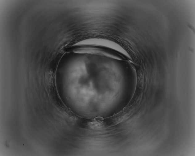 X0000093240511200710031605