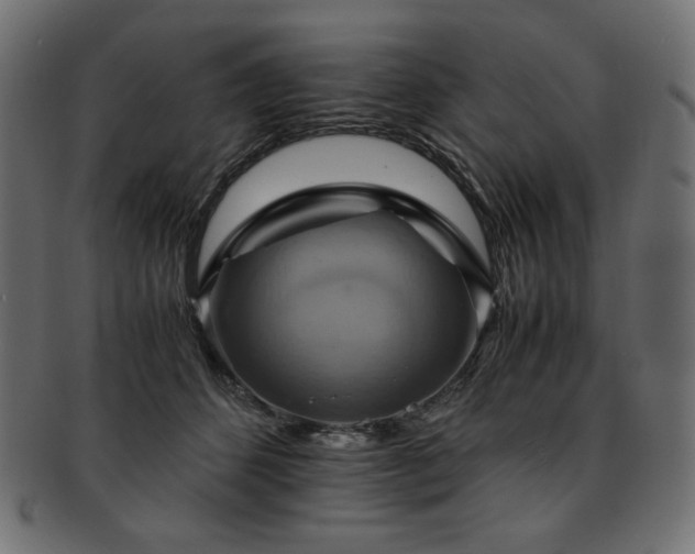 X0000093240512200710031605