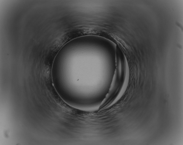 X0000093240513200710031605