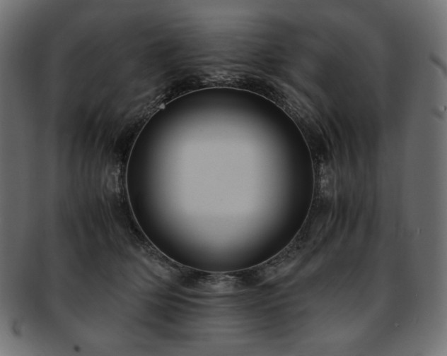 X0000093240514200710031605
