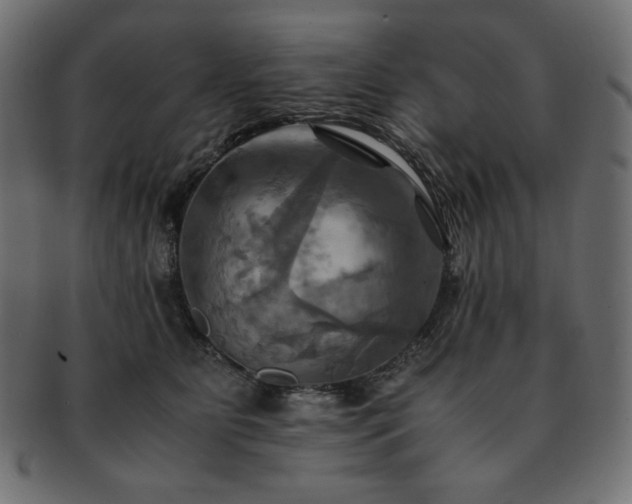 X0000093240515200710031604