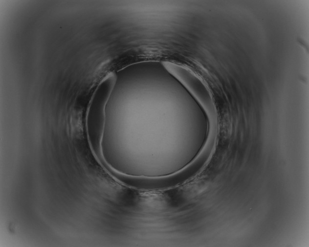 X0000093240516200710031604