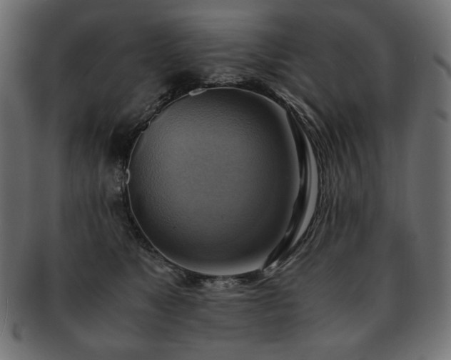 X0000093240517200710031604
