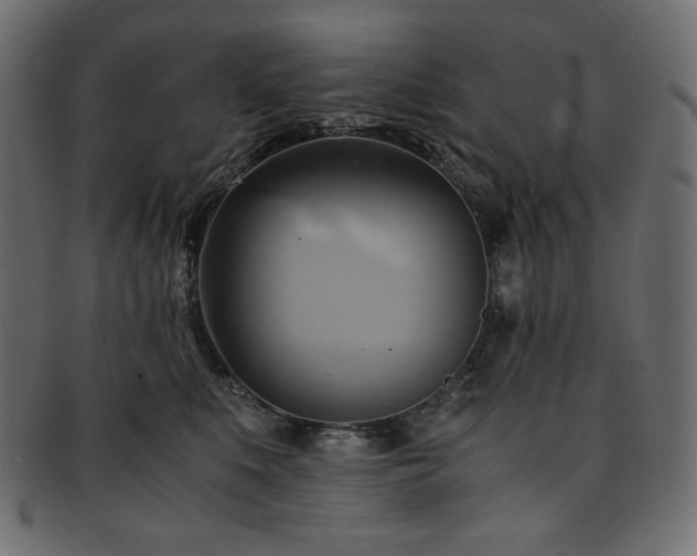 X0000093240519200710031604