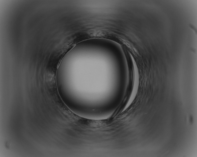 X0000093240521200710031604