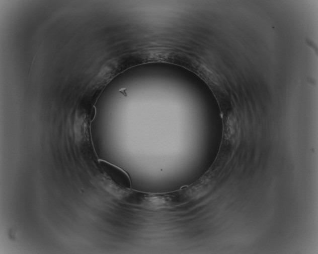 X0000093240522200710031604