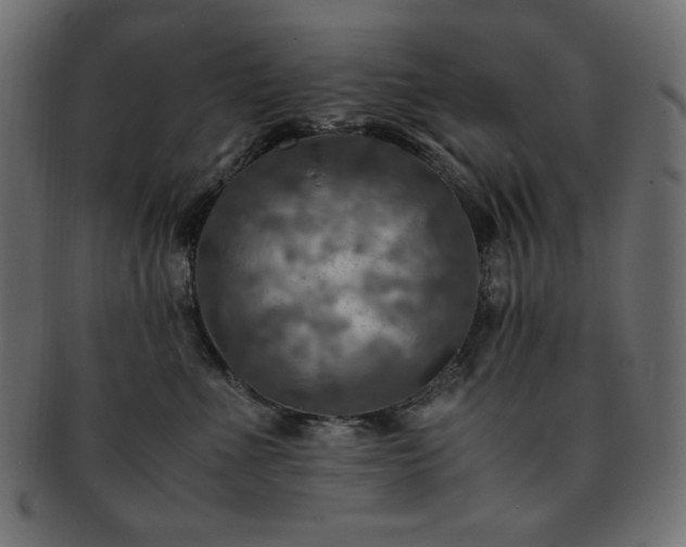 X0000093240523200710031604