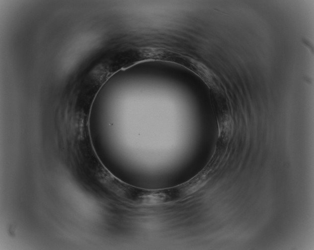 X0000093240525200710031604