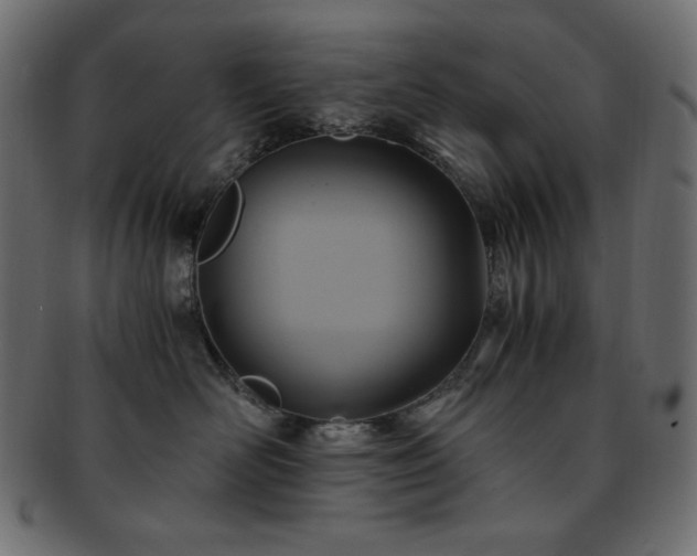 X0000093240526200710031604