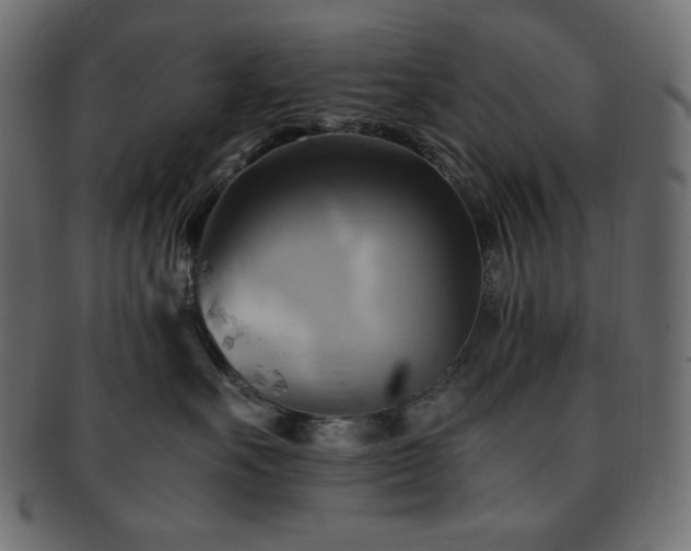 X0000093240527200710031604